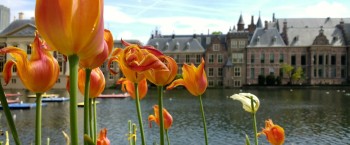 wereldbestormers-binnenhof-2398654.jpg